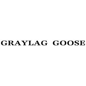 GRAYLAG GOOSE
