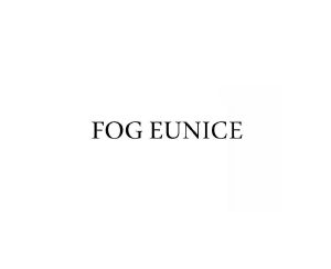 FOG EUNICE