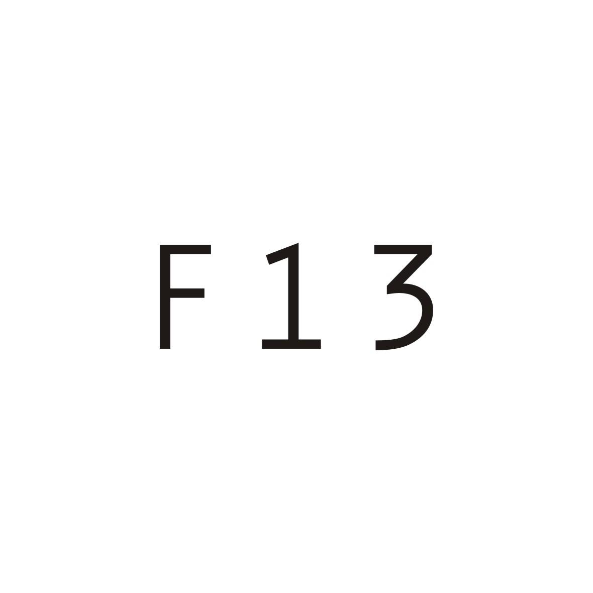 F 13