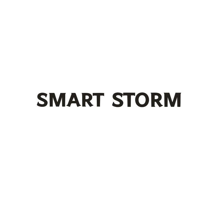 SMART STORM