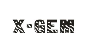 X-GEM