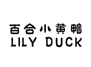 百合小黄鸭 LILY DUCK