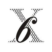 X 6