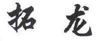 拓龙