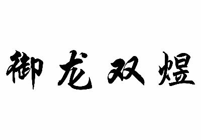 御龙双煜