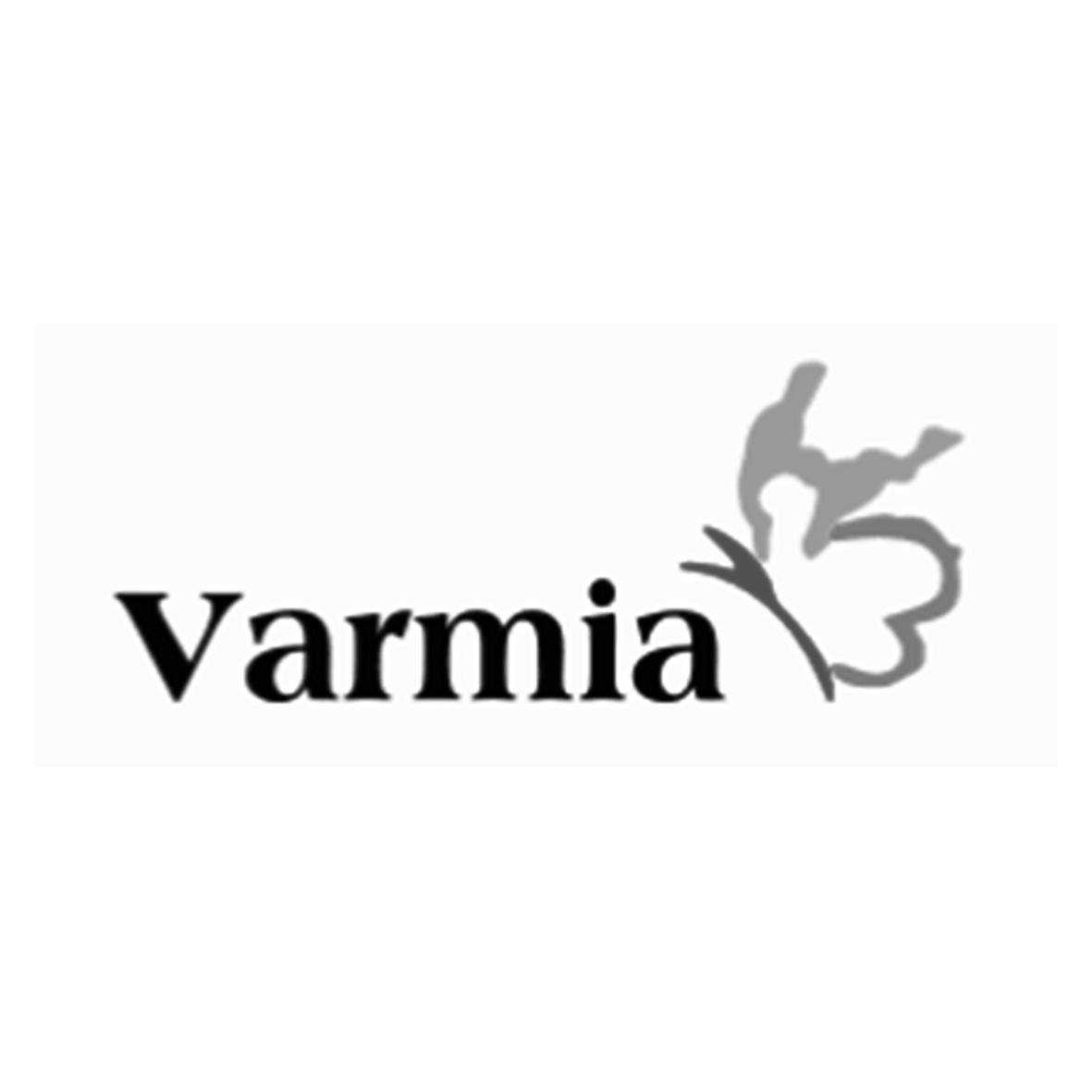 VARMIA