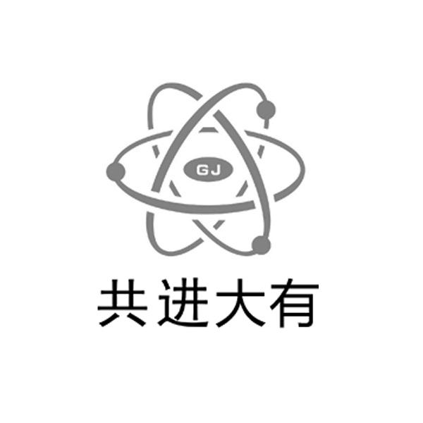 共进大有 GJ