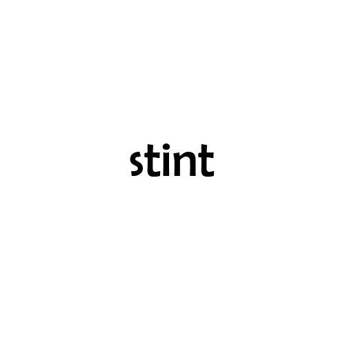 STINT