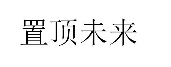 置顶未来