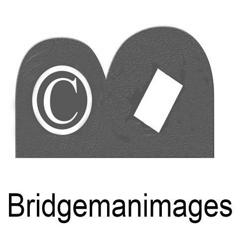 BEIDGEMANIMAGES C