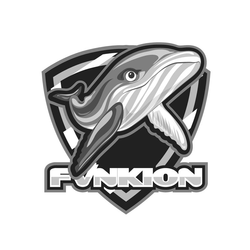 FVNKION
