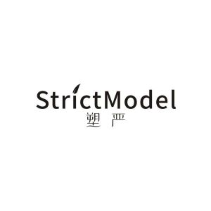 塑严 STRICTMODEL