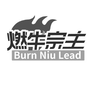 燃牛宗主 BURN NIU LEAD