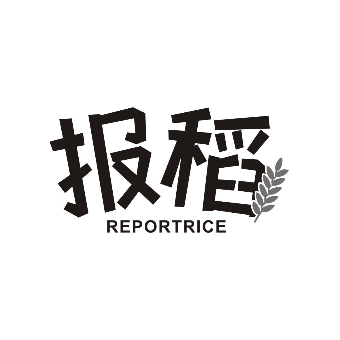 报稻 REPORTRICE