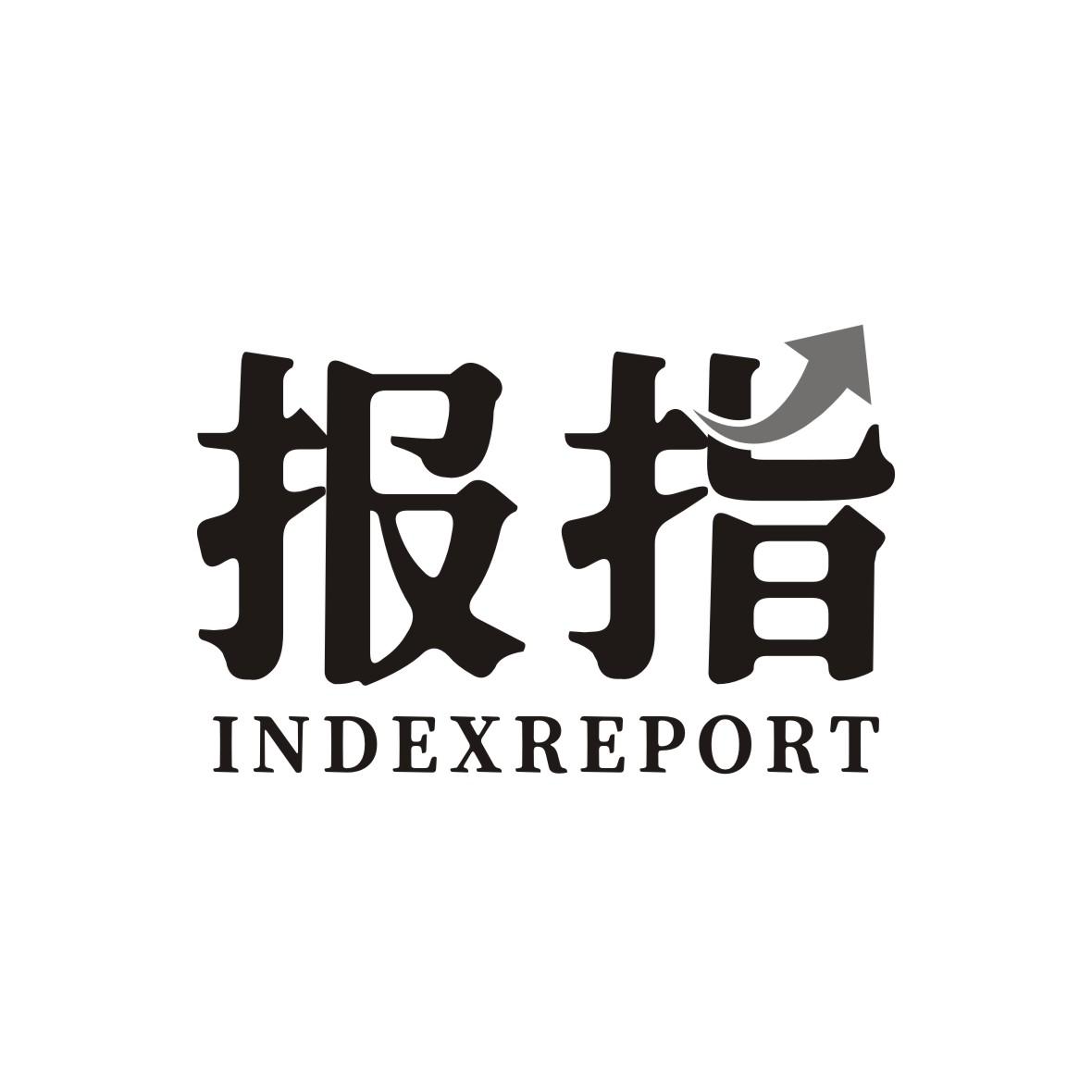 报指 INDEXREPORT