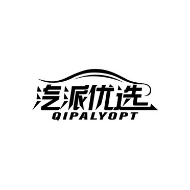汽派优选 QIPALYOPT