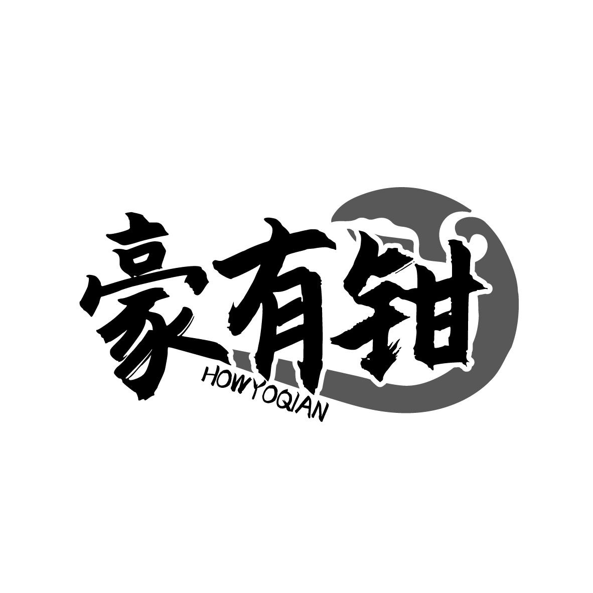 豪有钳 HOWYOQIAN