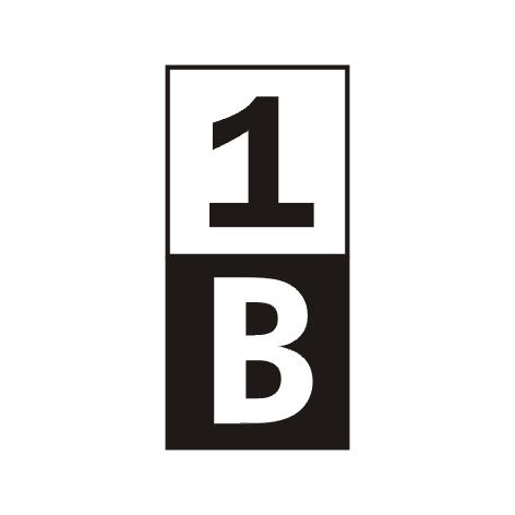 1 B