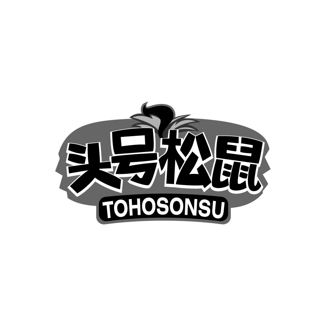 头号松鼠  TOHOSONSU