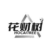 花财树 HOCAITREE