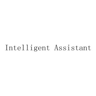 INTELLIGENT ASSISTANT