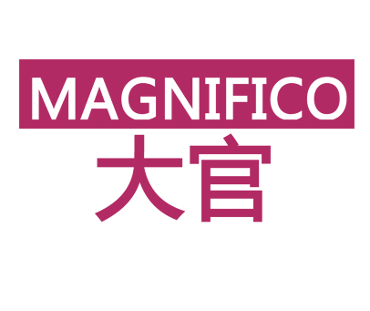 大官 MAGNIFICO