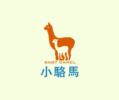 小骆马 BABY CAMEL