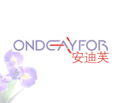 安迪芙-ONDEAYFOR