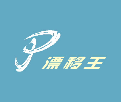 漂移王 P