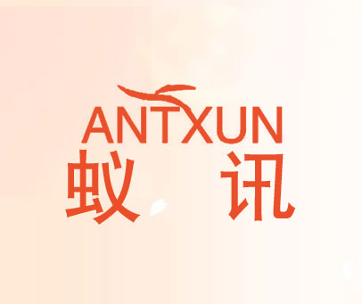 蚁讯 ANTXUN