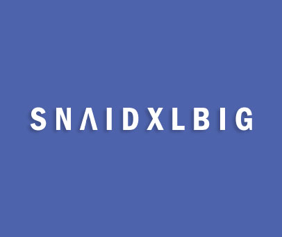 SNAIDXLBIG