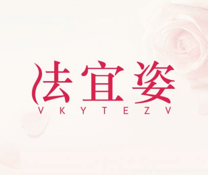 法宜姿-VKYTEZV