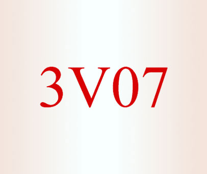 3V07