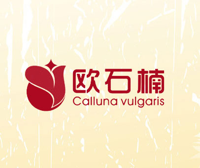 欧石楠 CALLUNA VULGARIS