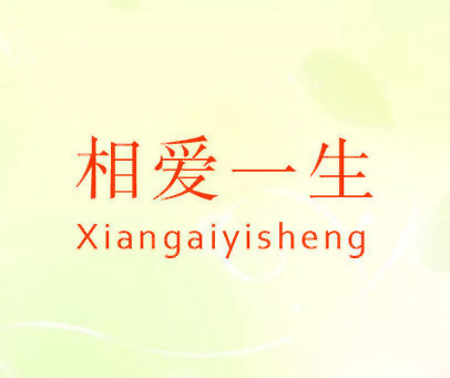 相爱一生