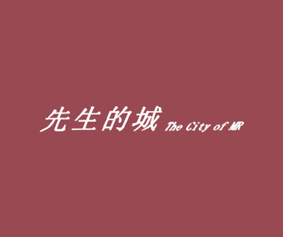 先生的城 THE CITY OF MR