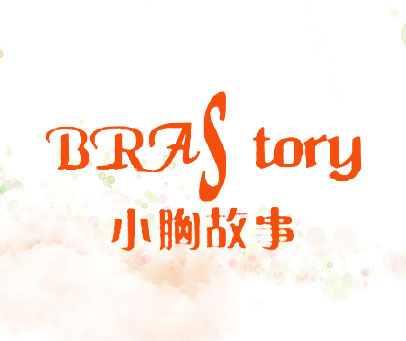 小胸故事 BRA STORY