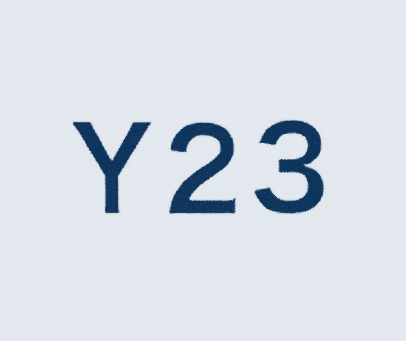 Y 23