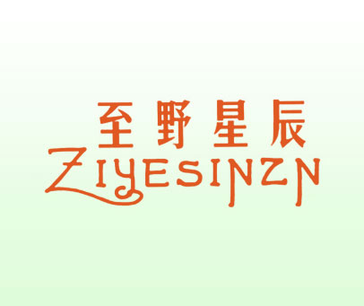 至野星辰 ZIYESINZN