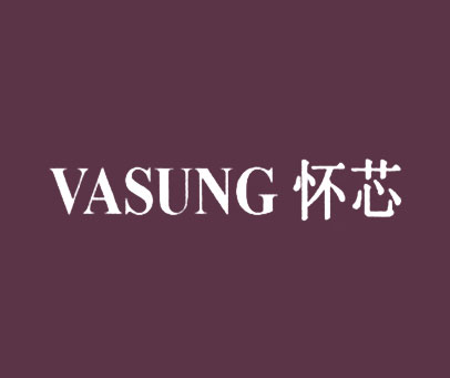 怀芯 VASUNG