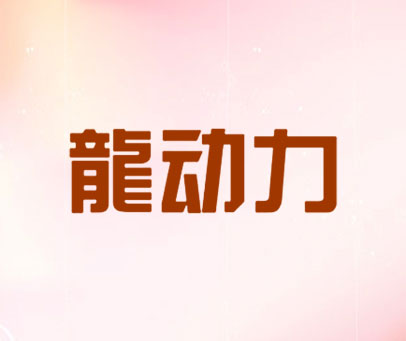 龙动力