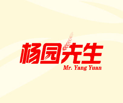 杨园先生 MR.YANG YUAN