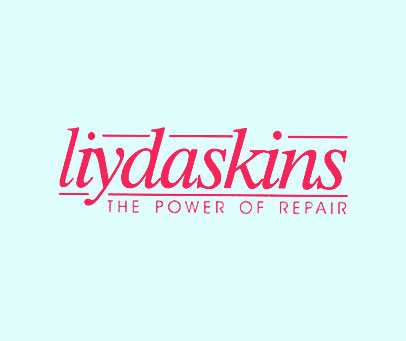 LIYDASKINS THE POWER OF REPAIR