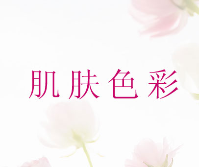 肌肤色彩