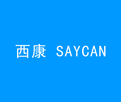 西康 SAYCAN