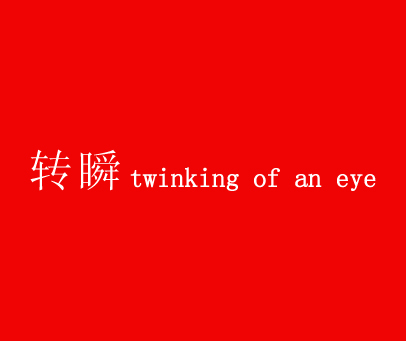 转瞬  TWINKLING OF AN EYE