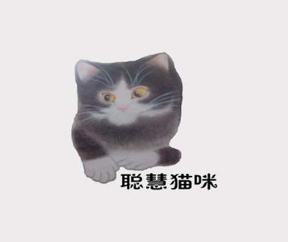 聪慧猫咪