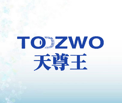 天尊王 TOOZWO