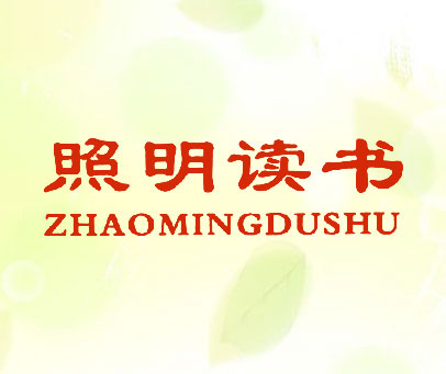 照明读书