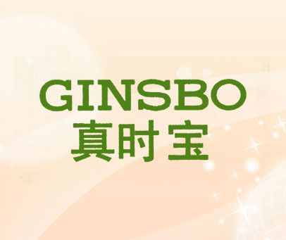 真时宝 GINSBO